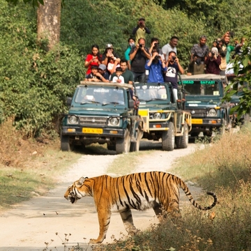 jim-corbett.jpg