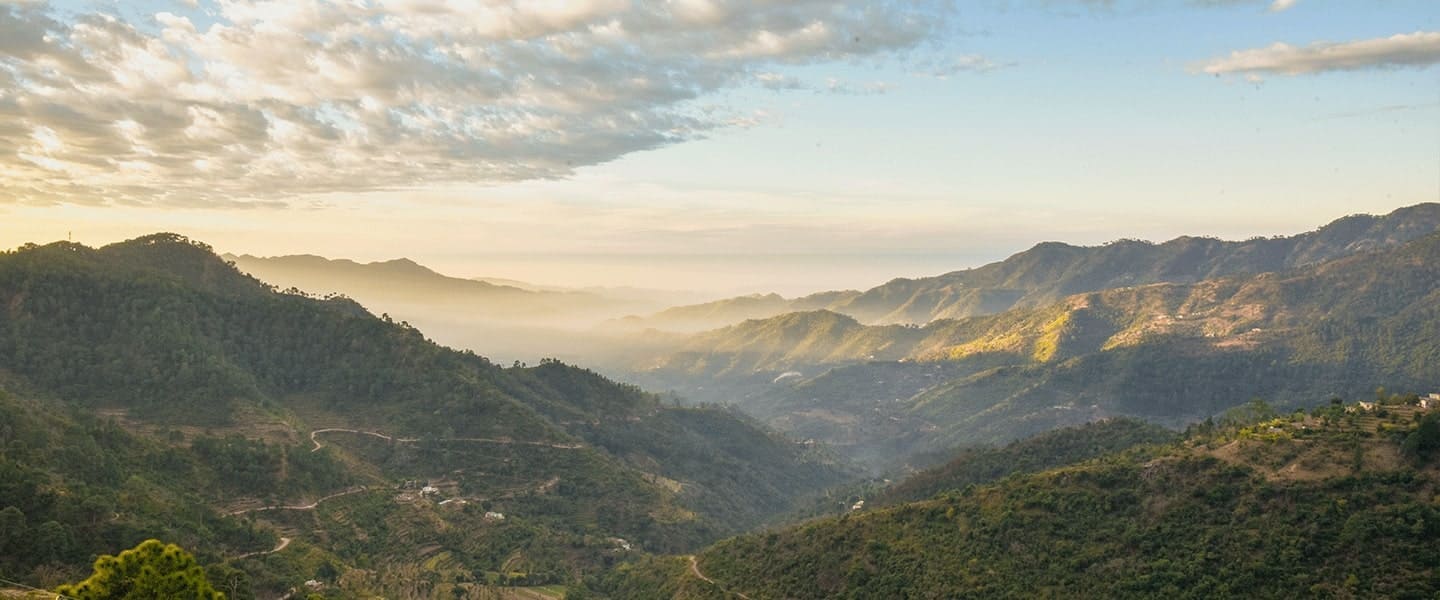Hotels in Kasauli