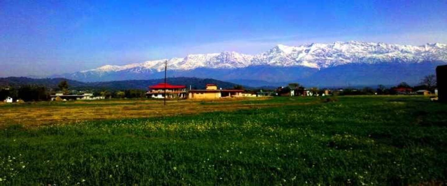 Hotels in Palampur