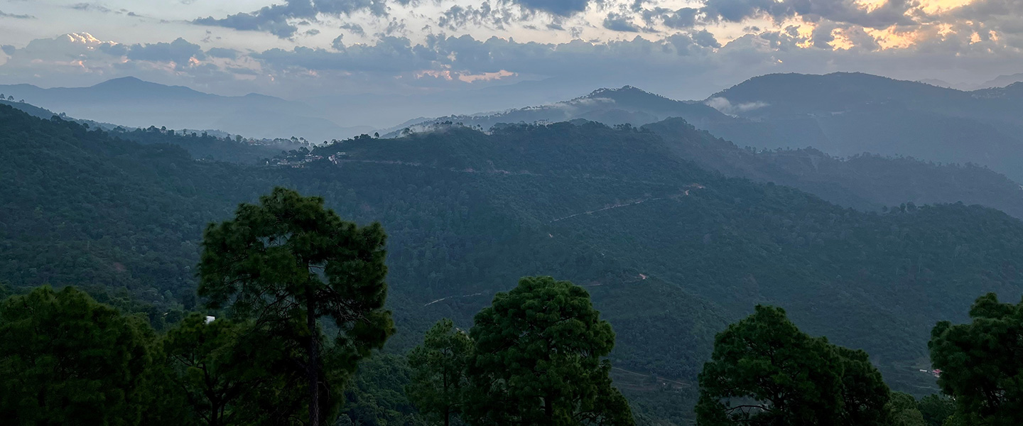 Hotels in Solan