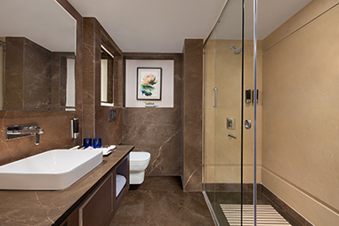 fortune-suite-room-washroom.JPG