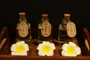 m (381 x 254 px) - 2