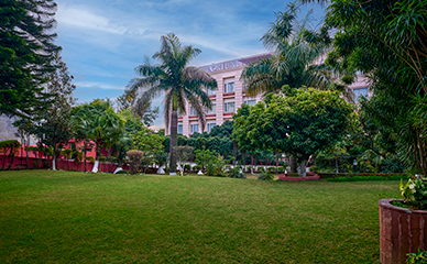 lawn with hotel view.jpg