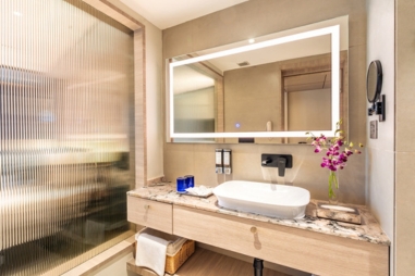 m (381 x 254 px) - Premium Room Washroom 3