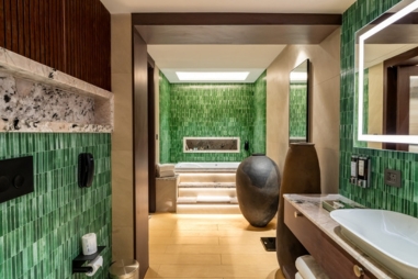 m (381 x 254 px) - Premium Suite Washroom Picture