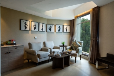 m (381 x 254 px) - Premium Suite Living Area