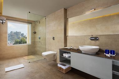 premium-valleyview-suite-washroom.jpg