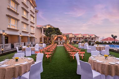 lawn-two.jpg