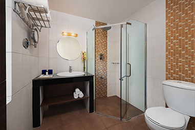 deluxe-room-bathroom.jpg