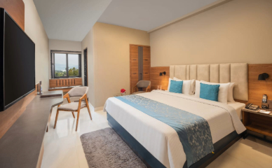 deluxe-room.jpg