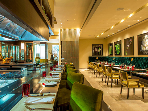 ottimo-cucina-italiana-itc-grand-bharat