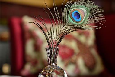 Peacock-Bar-detail.png