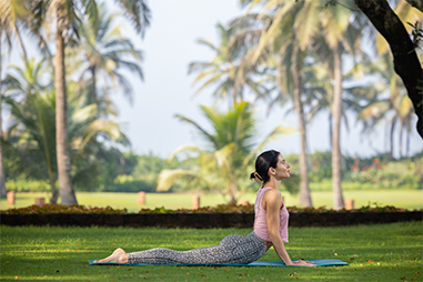Yoga-At-the-Lawn.jpg