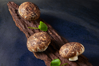 Steamed-Mushroom-Bao.jpg