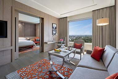 executive-suite-living-room.jpg
