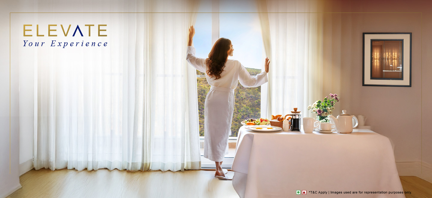 Elevate your Experience