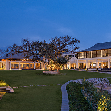 banyan-tree.jpg