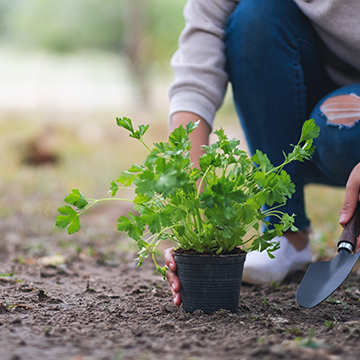 gardening-i.jpg