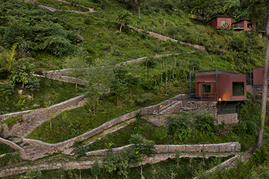 aerial-view-of-forest-pod.jpg