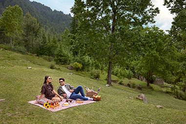 picnic-under-the-pine-trees.jpg