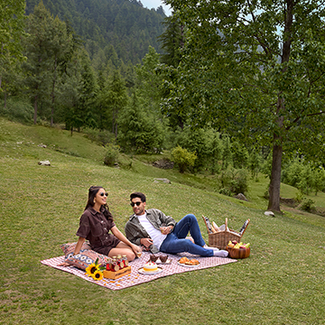 picnic-under-the-pine-trees.jpg