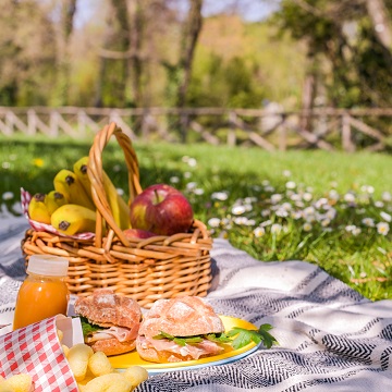 Lunch in the park on the green grass. Summer sunny day and picnic basket