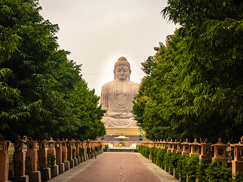 Welcomhotel by ITC Hotels, Bodh Gaya Hotel & Convention Centre 