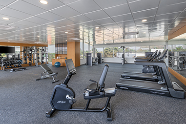 gymnasium.jpg