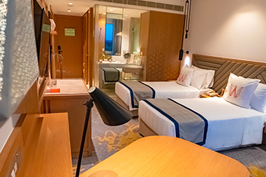 superior-room-twin-bed-interior.jpg