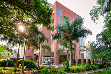 exterior-morning.jpg