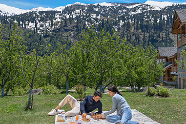 picnic-amidst-apple-orchard.jpg