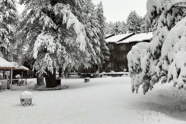 Welcomhotel-Pine-N-Peak-snow-covered-Facade.jpg